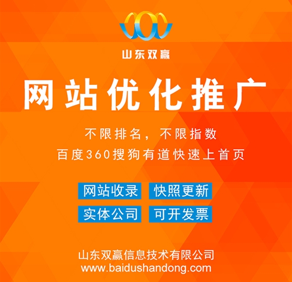 聊城專業(yè)網(wǎng)站建設(shè)公司